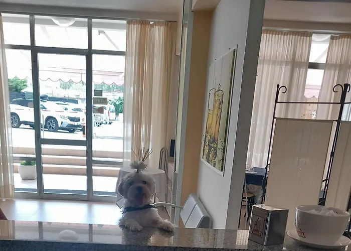 Hotel Staccoli